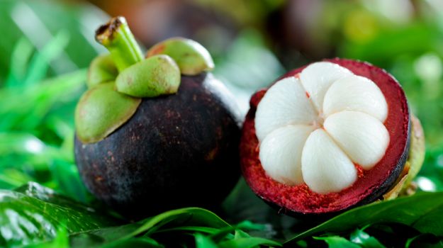 mangosteen